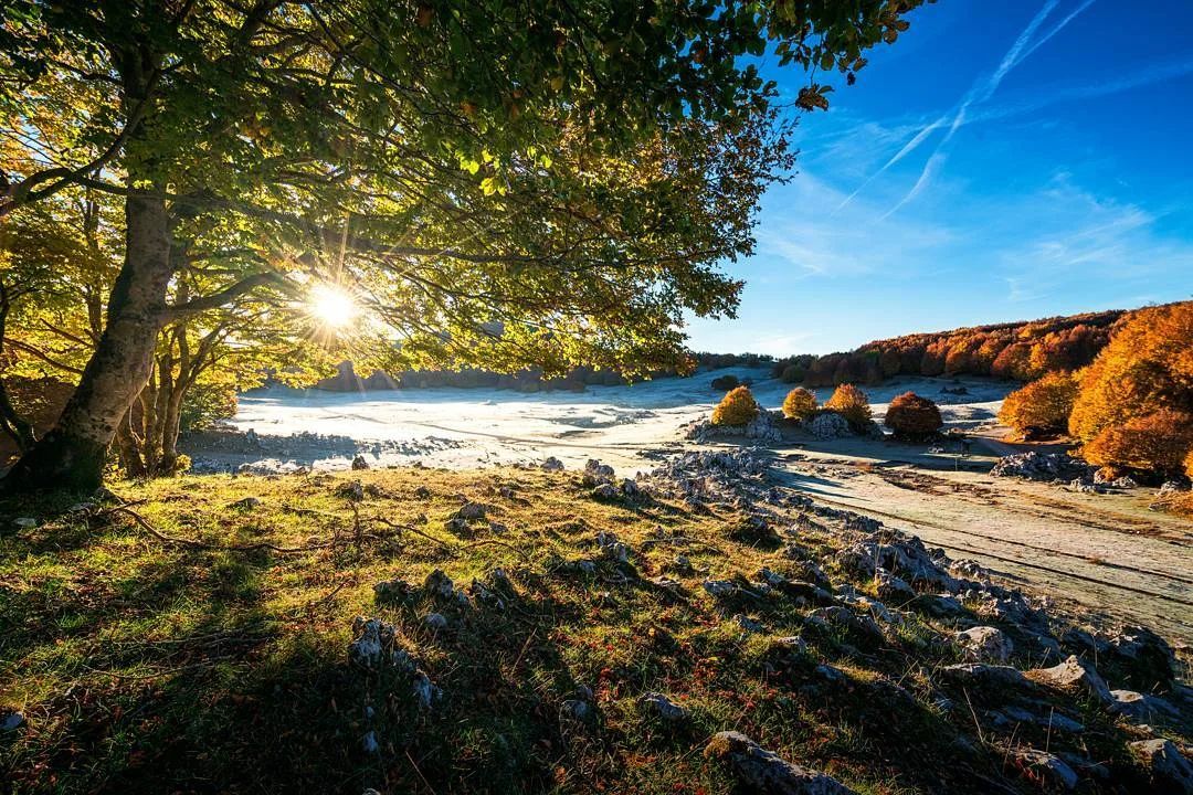 Autumn Morning #landscapephotography #lazio #fosforonero #love #autumn🍁 #a7rii